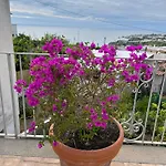 別荘 Chez Marie Ischia
