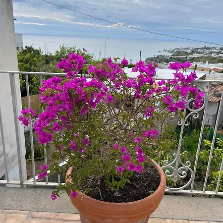 別荘 Chez Marie Ischia